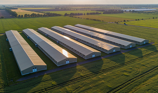 Convegno &ldquo;Verso la nuova PAC 2028&ndash;2034: una riflessione sulla proposta di riforma&rdquo;