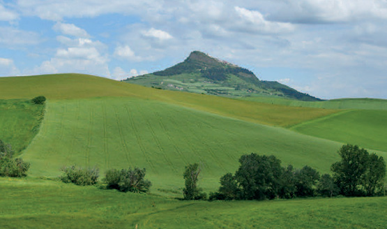 Online l'opuscolo "L'agricoltura in Campania in cifre"
