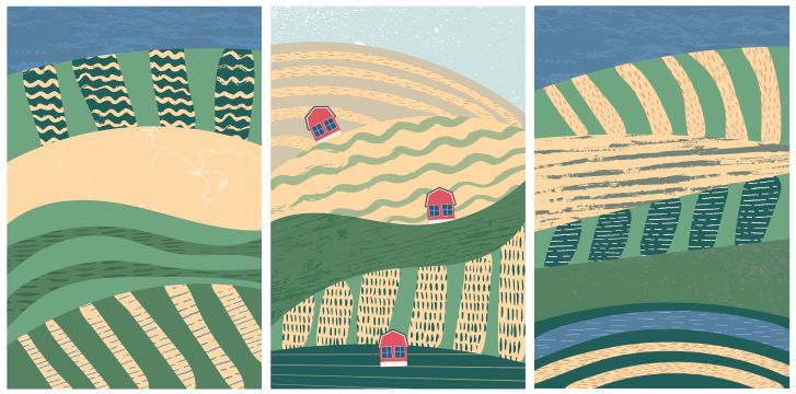 PER-CORSI INFAS: (IN)FORMAZIONE PER L’AGRICOLTURA SOCIALE