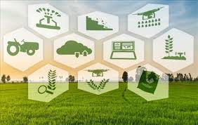 Webinar CREA su agricoltura digitale: soluzioni e opportunità