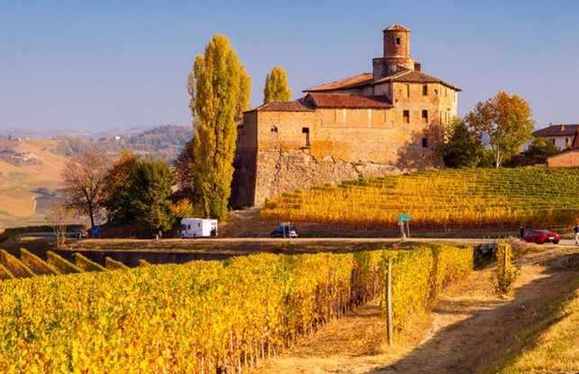 È online “L’agricoltura nel Piemonte in cifre 2021”