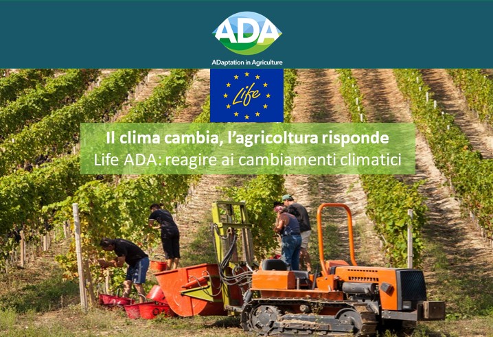 Progetto Life ADA – Online sul sito SDG Action delle Nazioni Unite l’articolo 