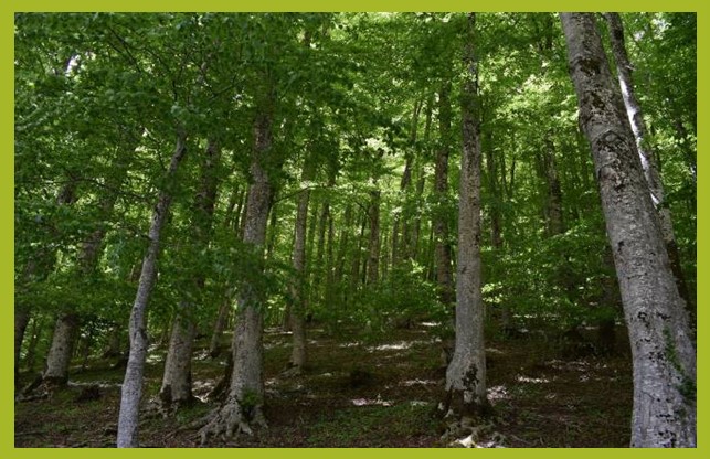 Progetto Start Up AFAI: Convegno conclusivo