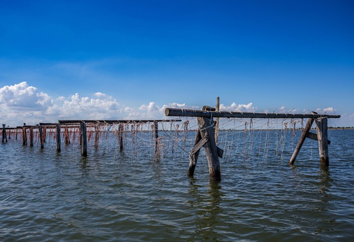 L’analisi dei costi di produzione dei mitili a supporto delle scelte imprenditoriali: la metodologia contabile CREA- Politiche e Bioeconomia
