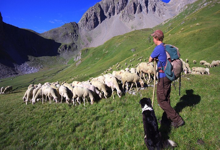 Giovani pastori - Formazione e co-progettazione di idee innovative