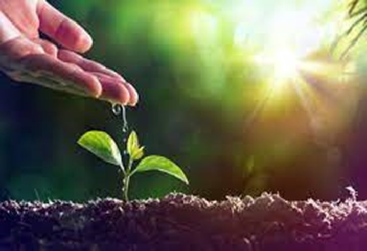 LVIII Convegno SIDEA –Best Research Contribution Early Career Award nell’ambito del Progetto OPERA