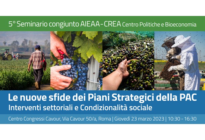 Le nuove sfide dei Piani Strategici della PAC. Interventi settoriali e Condizionalità sociale
