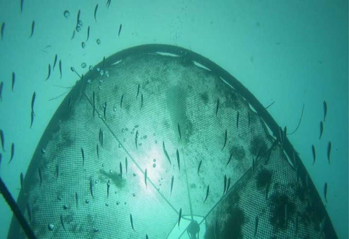 Progetto TUSCANY-FAD - 2° incontro Tavolo partecipativo