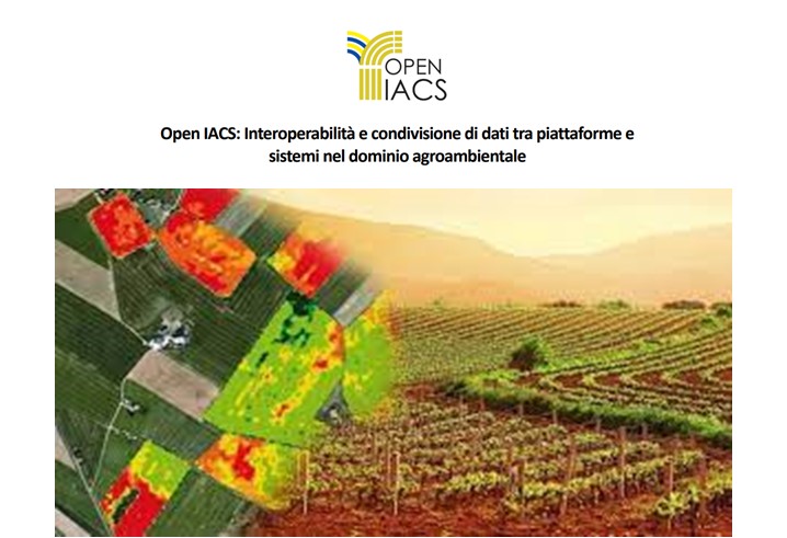 Spazio all’agricoltura: come la cooperazione istituzionale del Progetto Open IACS supporta l'analisi dei dati nel dominio agroambientale