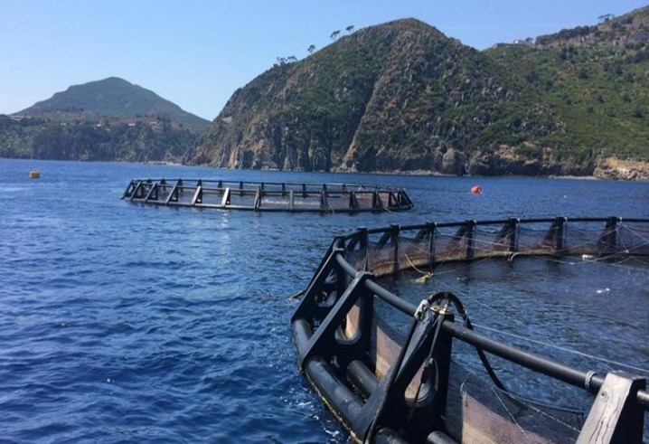 Progetto Fish-Farm-Accountancy: 1° Workshop Aziende di Piscicoltura