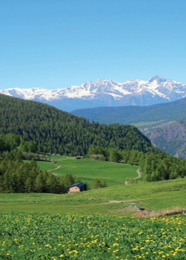 L’agricoltura nella Valle d’Aosta in cifre 2023