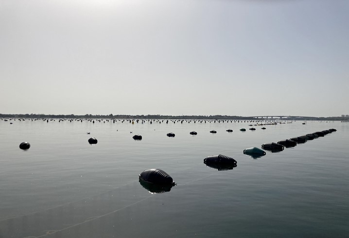 VALUE-SHELL Project: Module 4) result’s presentation meeting