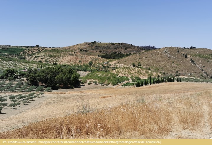 Storie dalla terra: il dialogo interistituzionale a favore dei distretti biologici siciliani