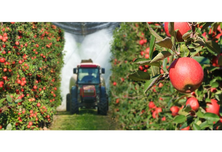 Lo stato del commercio agricolo internazionale, tra sostenibilità e salute