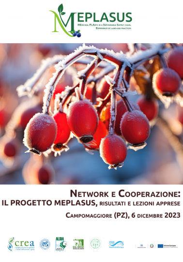 locandina Convegno Meplasus