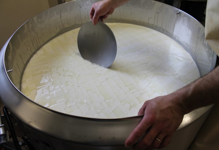 Scuola permanente del casaro: parte la seconda edizione del “Corso per tecnici specializzati nelle produzioni lattiero casearie tradizionali sostenibili”