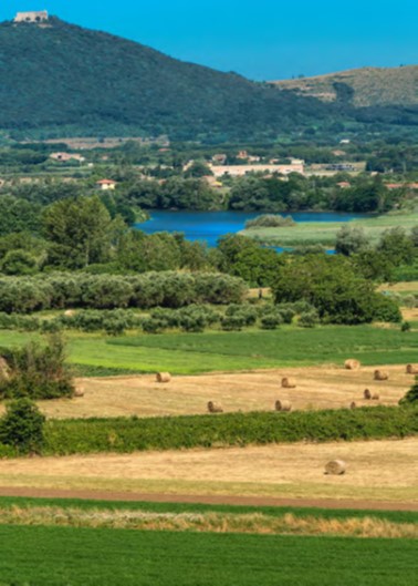 Vedi alla voce: agricoltura in Campania