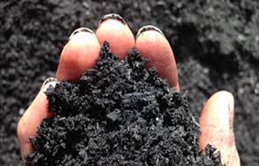 Il biochar in Italia: dialogo tra gli attori della filiera