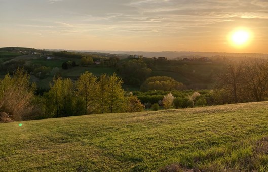 New technologies and AI tools vs natural based solutions: trade off and synergies for sustainable agriculture