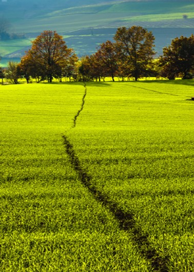 Progetti, azioni e competenze per la ricerca agro-ambientale