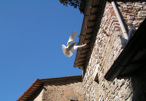 V edizione della Festa del Respiro