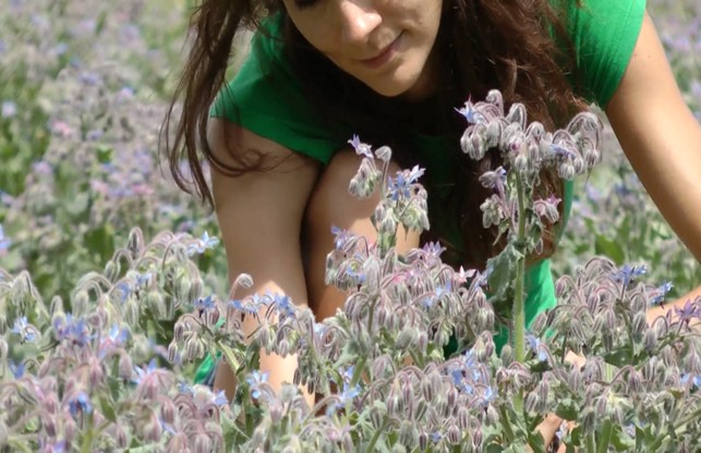 CURA DELLA TERRA E CURA DI SE STESSI