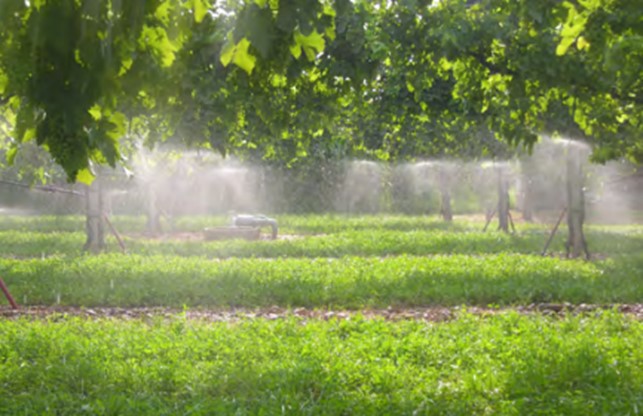 Il CREA Politiche e Bioeconomia a Ecomondo 2024