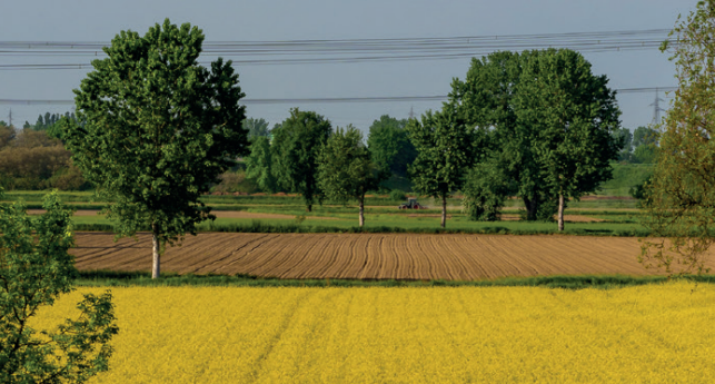 L’Agricoltura Lombarda Conta 2024