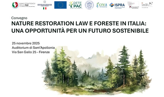 Copertina programma evento