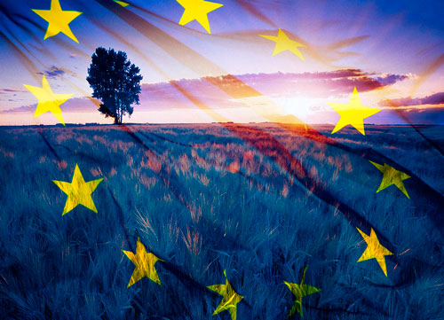 La valutazione delle politiche agricole. Una sfida per la governance del settore