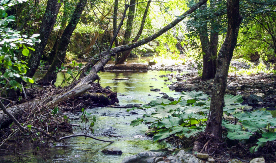 Online il rapporto "Territorio, acqua e cibo: in viaggio nelle Valli del Sinni e del Noce"