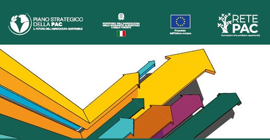 La PAC post-2027 alla prova dei fatti