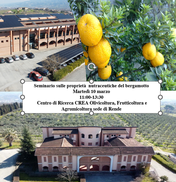 Seminario sulle proprietà nutraceutiche del bergamotto