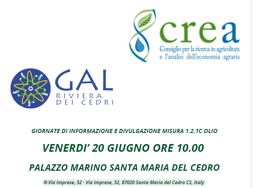 CORSO DI DEGUSTAZIONE SULL’OLIO D’OLIVA