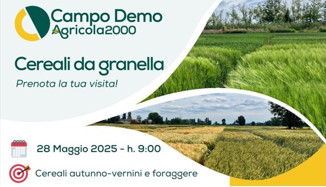Il CREA-GB al Campo Demo Agricola 2000: Cereali da granella