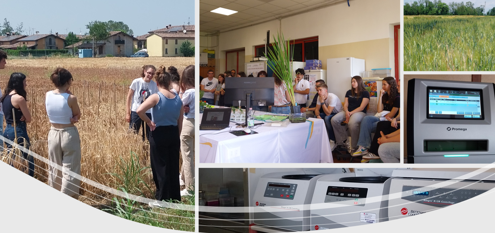 Grande successo per la seconda edizione di “A scuola di genetica” al CREA-GB Grande successo per la seconda edizione di “A scuola di genetica” al CREA-GB
