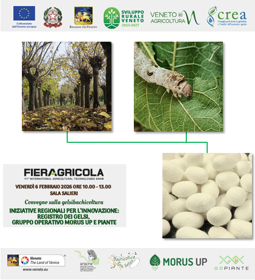 Al via il convegno sulla gelsibachicoltura in occasione della 117a edizione di Fieragricola 2026