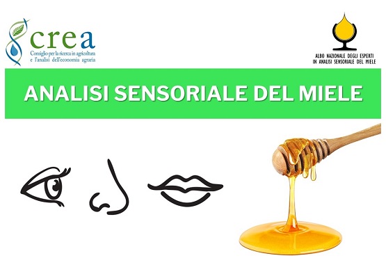 “Perfezionamento in analisi sensoriale del miele - secondo livello”