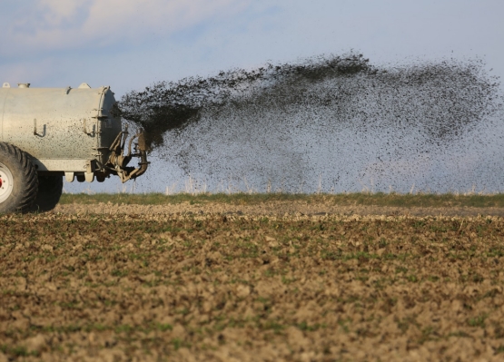 La ricerca scende in campo: “un incontro con gli operatori”