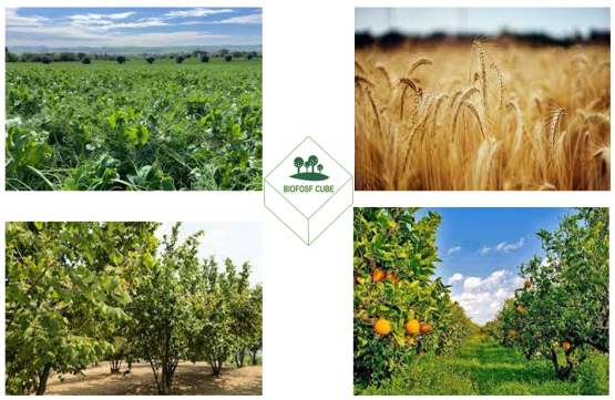 Al via il &ldquo;Convegno BIOFOSF-CUBE: Il fosfito nelle colture biologiche: dalla sistem&iacute;a vegetale alla contaminazione accidentale&rdquo;