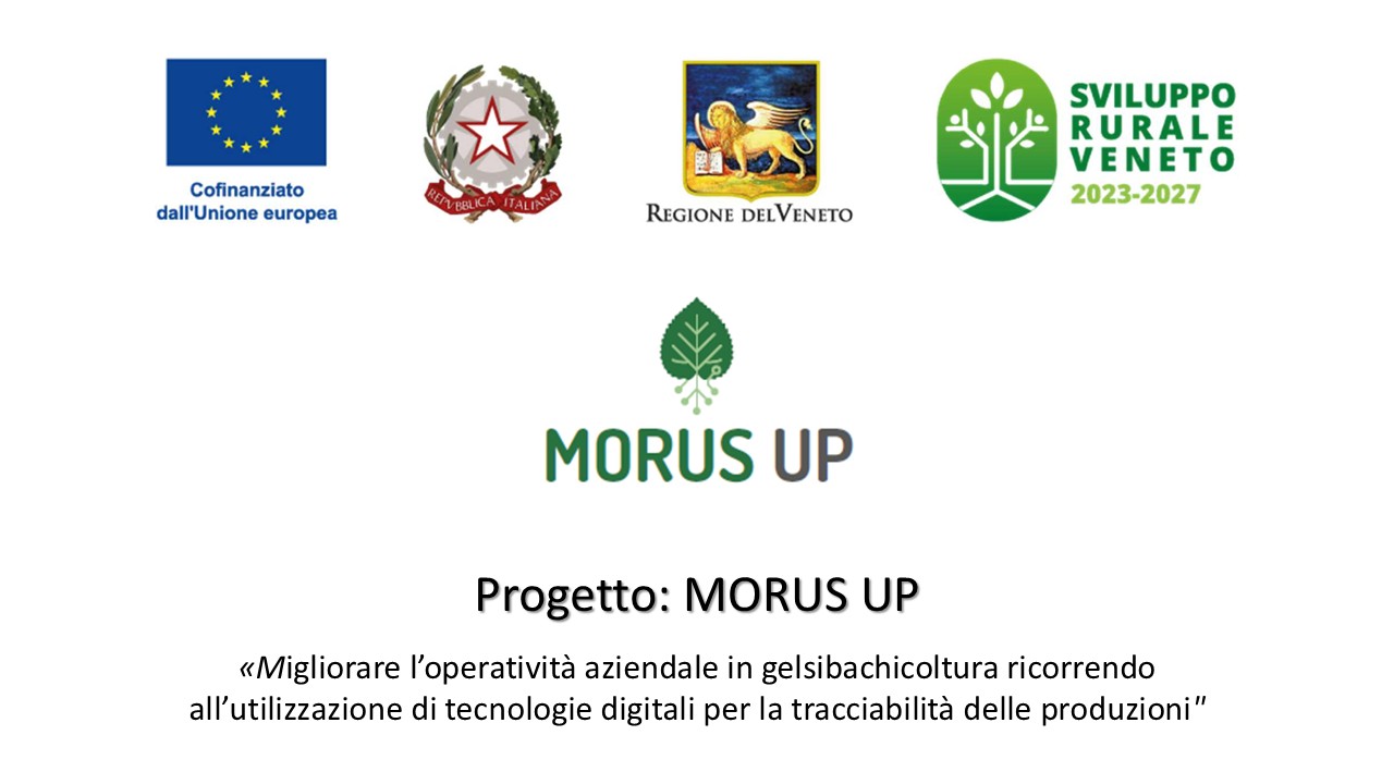 PROGETTO CSR REGIONE VENETO - MORUS UP