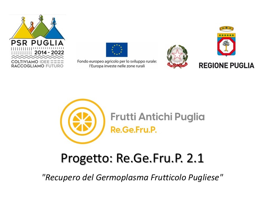 PROGETTO PSR RE.GE.FRU.P. 2.1 - REGIONE PUGLIA