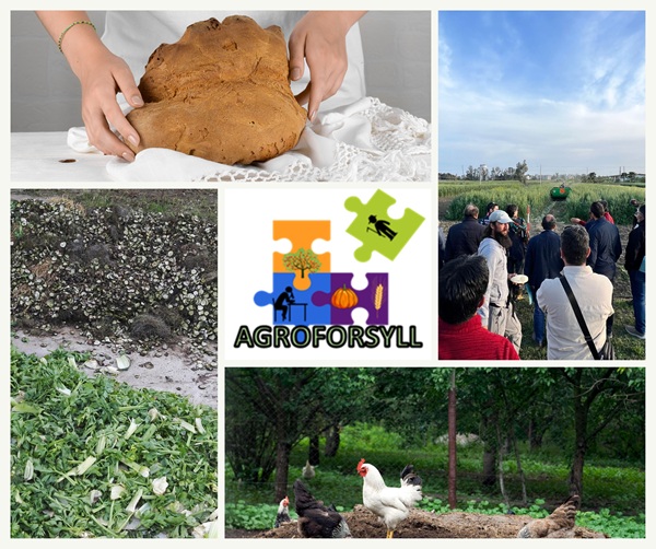 Al via il MEETING MULTI-ATTORIALE &ndash; LIVING LAB AGROECOLOGICO LUCANO - Progetti ALLFACTS, COMPARE e HORT2THEFUTURE