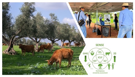 Al via il General Meeting e field visit del Progetto SENSE: “Synergies in integrated systems: Improving resource use efficiency while mitigating GHG emissions through well-informed decisions about circularity”