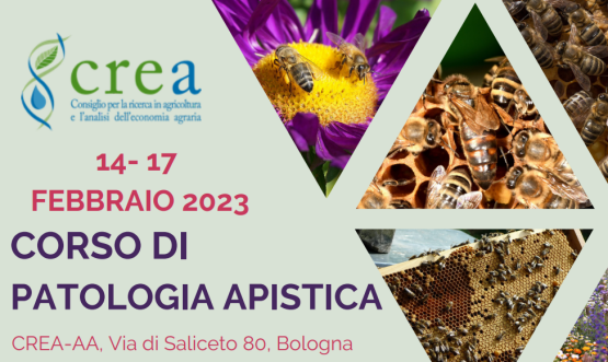 Al via il corso di patologia apistica