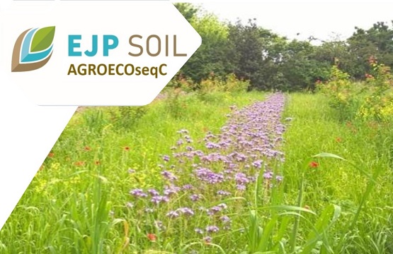 Agroecologia: Il CREA avvia il progetto AGROECOseqC con il kickoff meeting