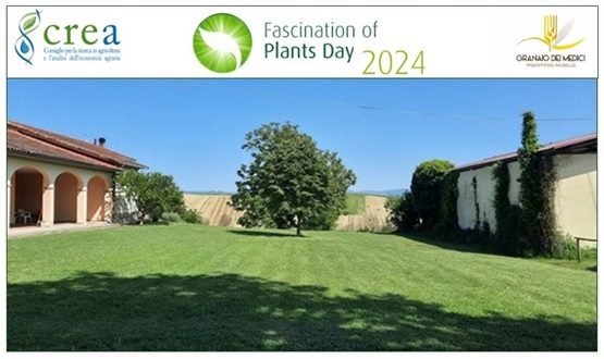 Fascination of Plants Day (FoPD) 2024 - Il lato nascosto delle piante: effetti benefici sul suolo e sull’ambiente