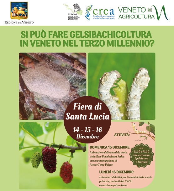 SI PUÒ FARE GELSIBACHICOLTURA IN VENETO NEL TERZO MILLENNIO?