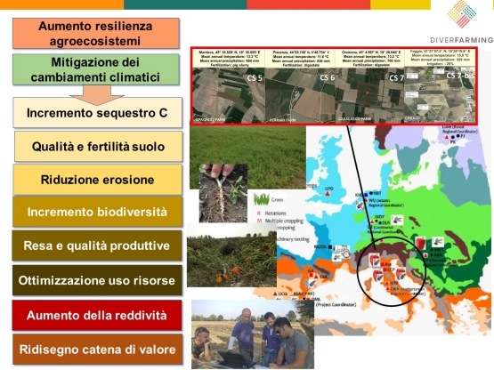 “Diversificazione colturale in ambiente Mediterraneo: i risultati del progetto DIVERFARMING”