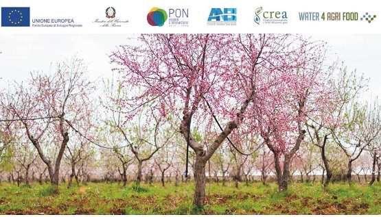 Al via la giornata dedicata all’aggiornamento e ai primi risultati del Progetto PON Water4AgriFood